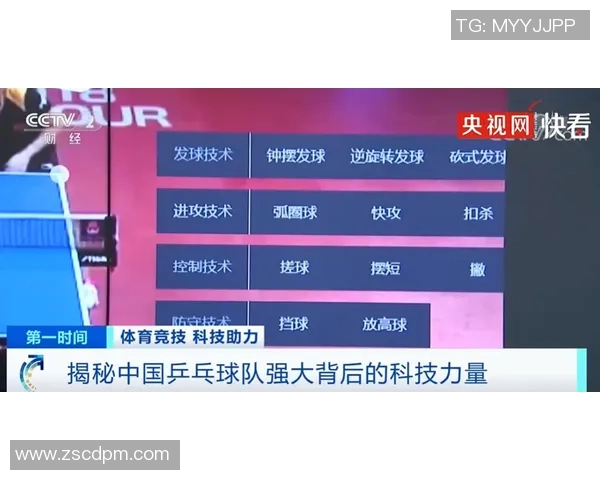 南京羽毛球队技术表现深度分析与数据解读探讨